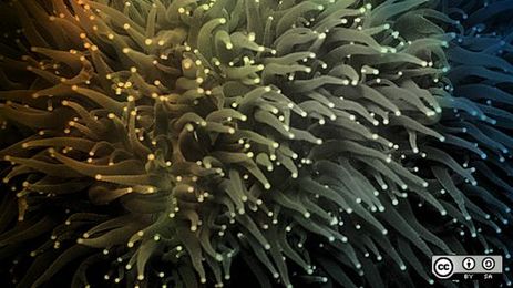 4 command-line graphics tools for Linux