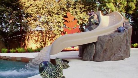 Our Yard Went Disney