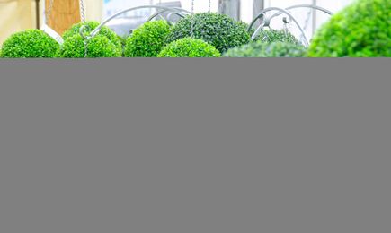 5 Eco Friendly Gardening Ideas That Will Have You Seeing Green