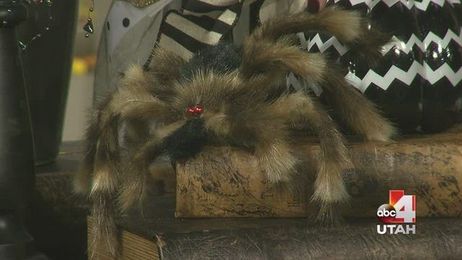 4 Ways To Spook Up Your Home Decor