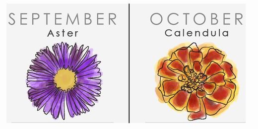 What Your Birth Flower Says About Your Personality