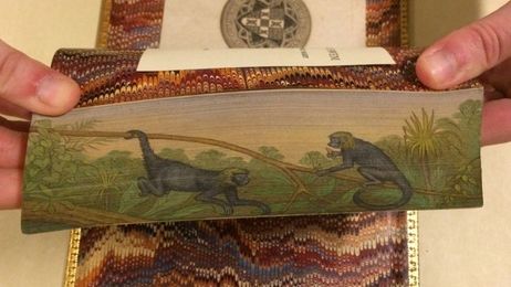 Incredible hidden artworks painted on the edge of historic books 