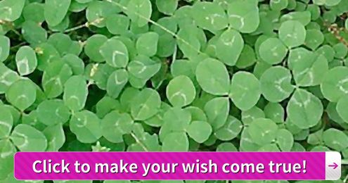 Click On The 4-Leaf Clover to Make Your Wish Come True!