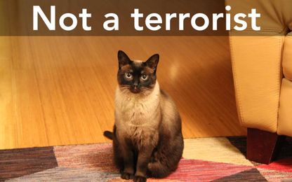 A lesson in First Impressions