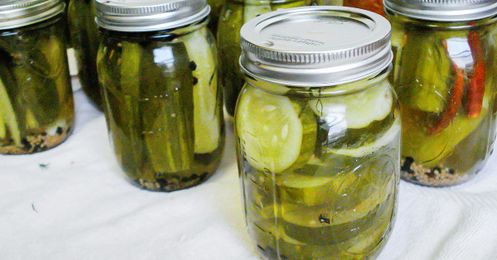 Save Your Pickle Juice
