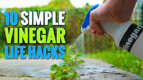 10 Simple Vinegar Life Hacks To Try At Home