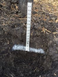 Harvest Report: Break Up Hard Pan for Drier Fields