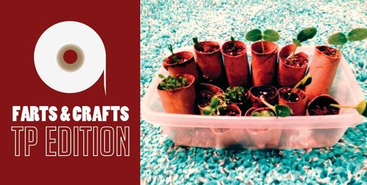 Farts and Crafts: Toilet Paper Roll Planters