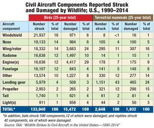 How Bird Strikes Impact Engines
