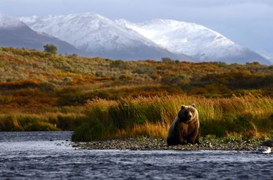 Saving Our Skin: Conservation on Land + Sea