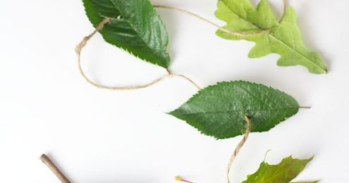 All Natural Leaf Threading