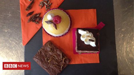 Baker uses insects as cake ingredients