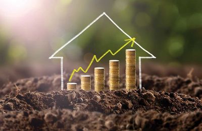 How Much Does Landscaping Really Add to a Home’s Value?