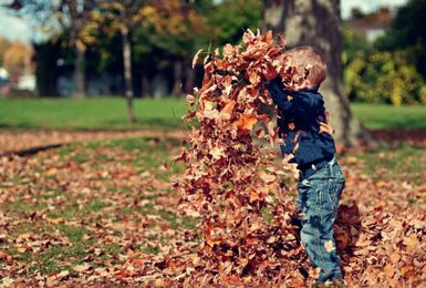 Should I rake leaves off my lawn? No, but yes. Here's why.
