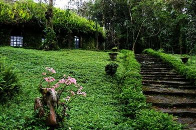 We Visit Nicaragua Selva Negra