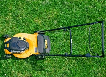 7 Things to Do Now for a Greener Lawn Next Year