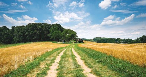 Being “Out in the Country” is a Way of Life