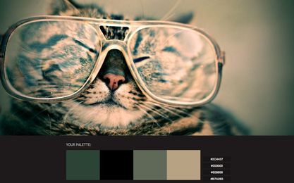 Find the perfect color palette using Pictaculous