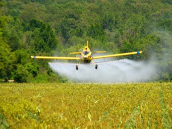 Monsanto on trial? Or 21st century capitalism?