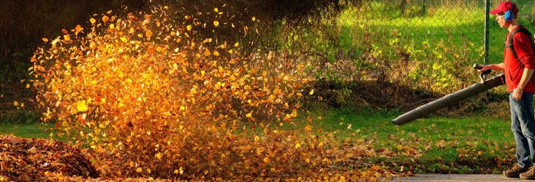 The Lawn Gear You Need for Fall Cleanup