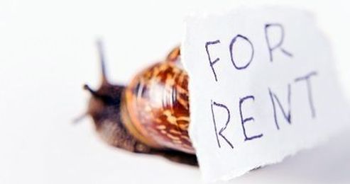 5 tips to get a rental deposit back