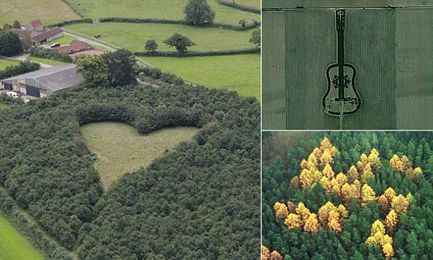 Living memorials made from trees come alive when viewed from above 