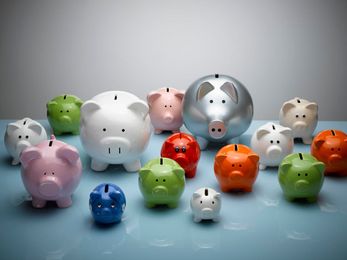 What is natural capital, and can it save the world?