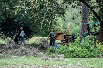 Garden Guru: Repair damaged landscape from Matthew one step at a time