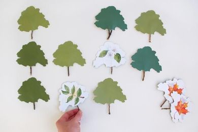 Make a Garden Memory Game