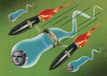 The Sperm Crisis: A Tough Nut to Crack