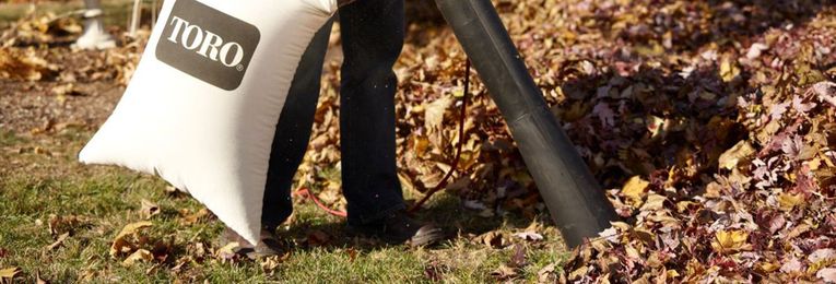 Do You Really Need a Leaf Blower Vacuum?