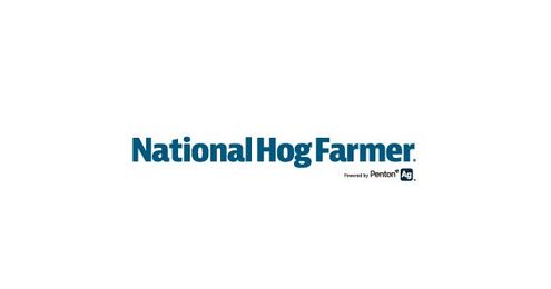 10 Steps To Successful Farrowing