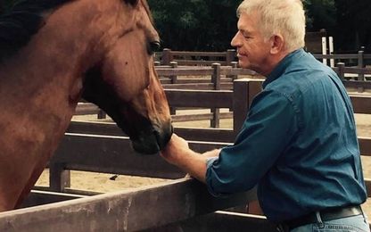 Study harnesses healing power of horses for dementia patients