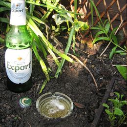 6 Cool Things You Can Do with Booze Besides Drink It