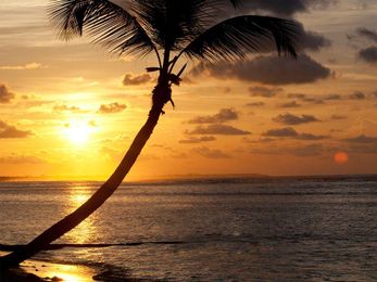 8 Reasons to Visit the Cayman Islands Now