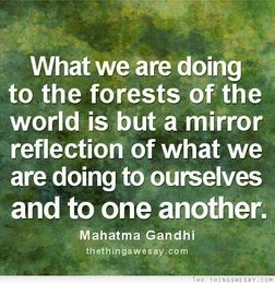 Environmental Sustainability Quotes. QuotesGram
