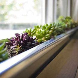 The Perks of Wood & Black Window Blinds in a Modern Apartment