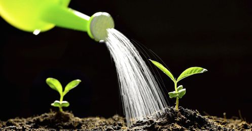 How investors can use bonds to save the world — and make money