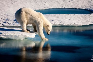 How much Arctic sea ice are you melting? Scientists have an answer