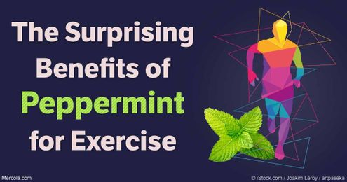 Can Peppermint Help Improve Athletic Performance?