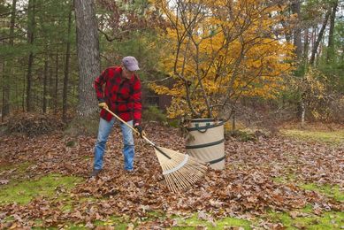 Protect Your Back When Raking Leaves: Tips from a Chino Urgent Care Center