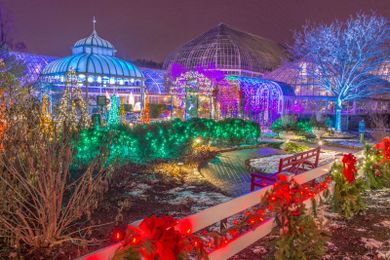 9 Botanical Gardens That Are More Beautiful At Night