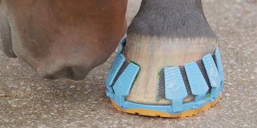 There's a shock-absorbing horseshoe made from plastic which clips on and off