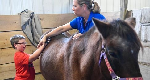 Healing Reins offer equine therapy for autism, other special needs 