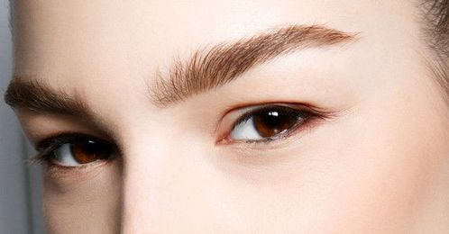 10 Little-Known Facts About Your Brows
