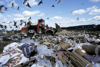 15 Easy Ways To Reduce Landfill Waste