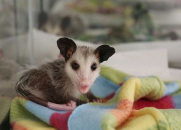 Can't we all just get along? 10 things to agree on.