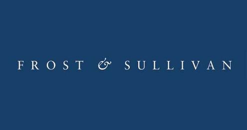Intensifying Need to Upgrade Cybersecurity Practices Drives Double-Digit Growth in Professional Security Services