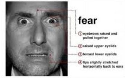 Learn the Secret of Decoding Facial Expressions