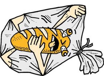 Why I NEVER Store My Bread in Plastic Bags